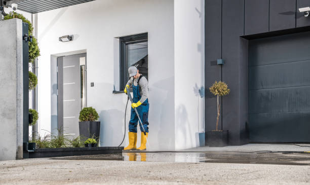 Best Building Exterior Washing  in West Pittston, PA